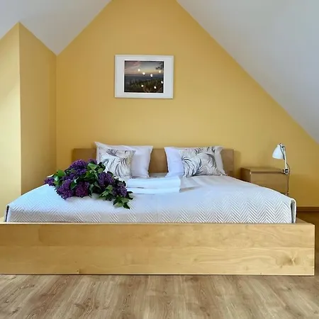 Apartment Hemingwaya *