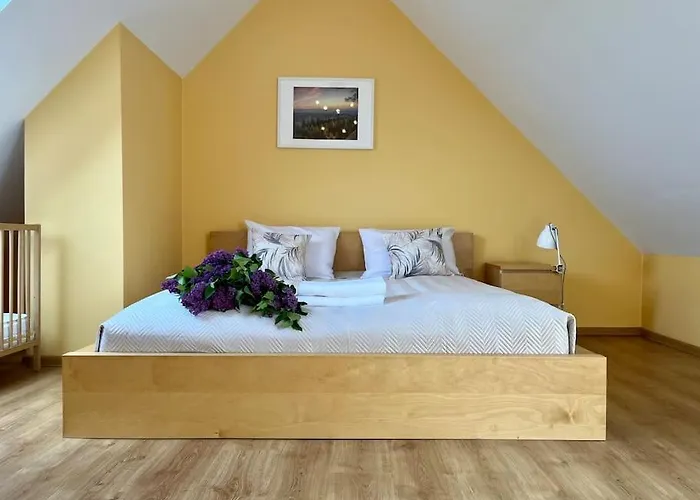 Apartment Hemingwaya *